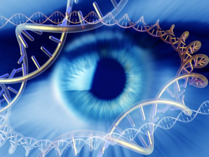 New gene therapy method improves vision in mice with congenital blindness -- Tdnews