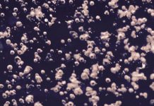 Report: Old carbon reservoirs unlikely to cause massive greenhouse gas release Old carbon reservoirs unlikely to cause massive