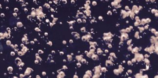 Report: Old carbon reservoirs unlikely to cause massive greenhouse gas release Old carbon reservoirs unlikely to cause massive