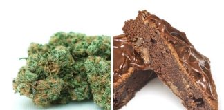 Report: Few consumers understand THC levels in cannabis edibles Report: Few consumers understand THC levels in cannabis edibles