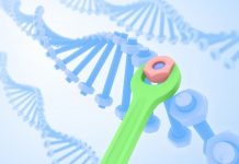Report: Intricate process of DNA repair discovered — Tdnews Report: Intricate process of DNA repair discovered -- Tdnews