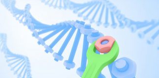 Report: Intricate process of DNA repair discovered — Tdnews Report: Intricate process of DNA repair discovered -- Tdnews