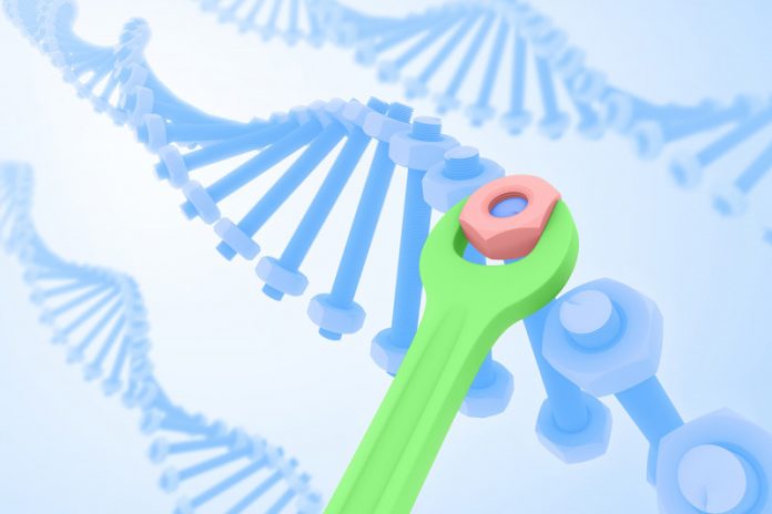 Report: Intricate process of DNA repair discovered -- Tdnews