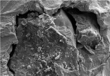 Report: One small grain of moon dust, one giant leap for lunar studies Report: One small grain of moon dust, one giant leap for lunar studies