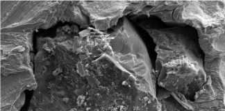 Report: One small grain of moon dust, one giant leap for lunar studies Report: One small grain of moon dust, one giant leap for lunar studies