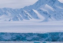 Report: Red alert as Arctic lands grow greener Report: Red alert as Arctic lands grow greener