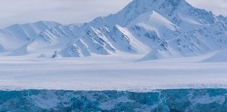 Report: Red alert as Arctic lands grow greener Report: Red alert as Arctic lands grow greener