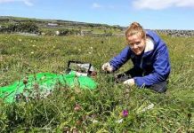 Report: ‘Rule breaking’ plants may be climate change survivors — Tdnews Report: 'Rule breaking' plants may be climate change survivors -- Tdnews