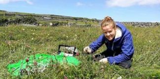 Report: ‘Rule breaking’ plants may be climate change survivors — Tdnews Report: 'Rule breaking' plants may be climate change survivors -- Tdnews