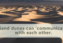 Report: Sand dunes can ‘communicate’ with each other Report: Sand dunes can 'communicate' with each other