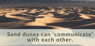 Report: Sand dunes can ‘communicate’ with each other Report: Sand dunes can 'communicate' with each other