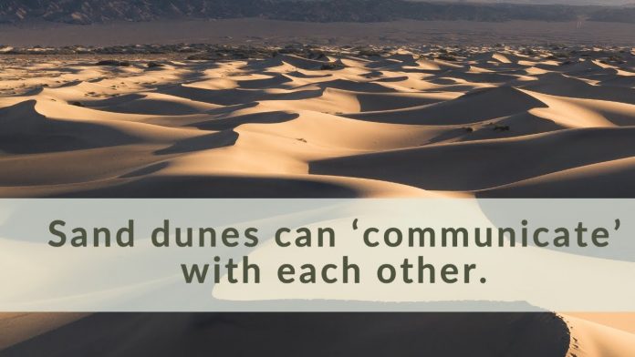 Report: Sand dunes can 'communicate' with each other