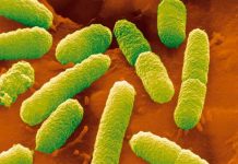 Study: Reproductive genome from the laboratory — Tdnews Reproductive genome from the laboratory