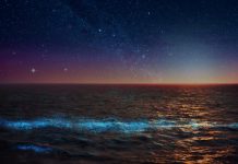 Research finds Earth’s oceans contain just the right amount of iron Research finds Earth's oceans contain just the right amount of iron