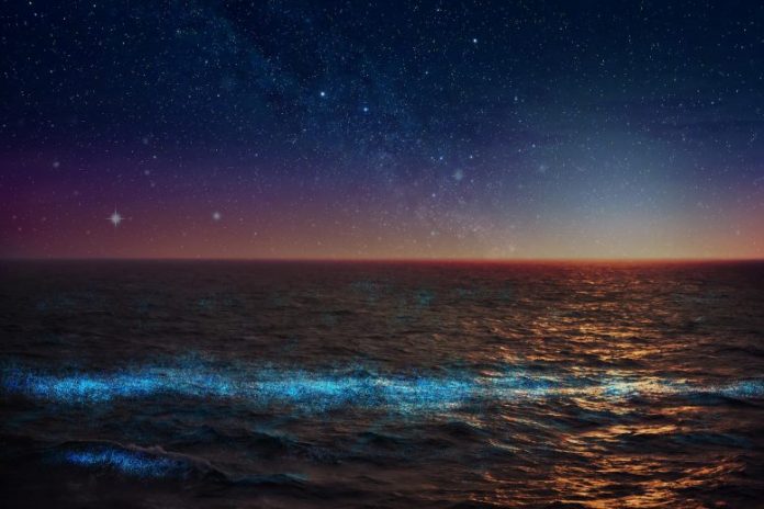 Research finds Earth's oceans contain just the right amount of iron