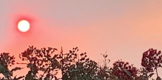 Research of dangerously small particulate matter and cardiac arrest Research of dangerously small particulate matter and cardiac arrest