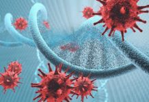 Research within Pan-Cancer Project will help research into cancer prevention Research within Pan-Cancer Project will help research into cancer prevention