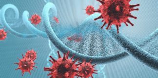 Research within Pan-Cancer Project will help research into cancer prevention Research within Pan-Cancer Project will help research into cancer prevention