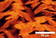 Researchers discover new non-sticky gels Researchers discover new non-sticky gels