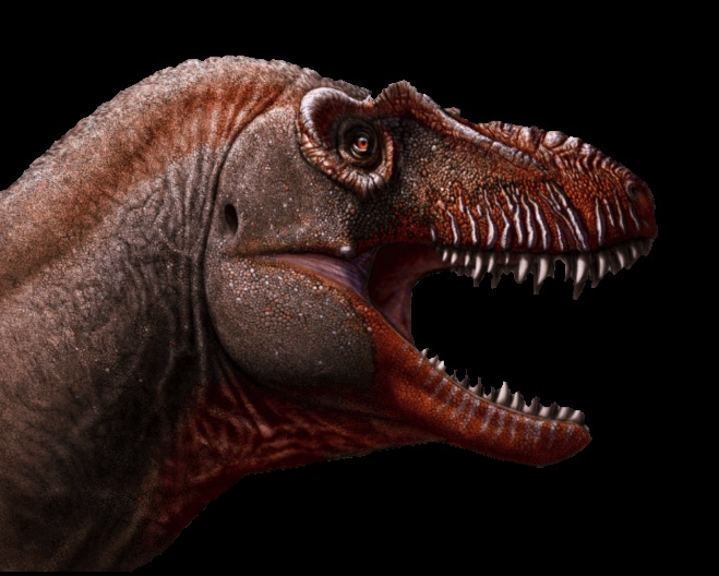 Scientists Discover New Type Of Tyrannosaurus And Name It 'Reaper Of Death'