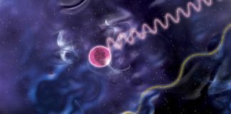 Scientists develop a new platform for all-optical computing — Tdnews Scientists develop a new platform for all-optical computing -- Tdnews