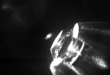 Scientists hold individual atoms in place in a new experiment Scientists hold individual atoms in place in a new experiment