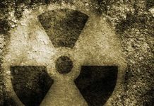 Smaller detection device effective for nuclear treaty verification Smaller detection device effective for nuclear treaty verification