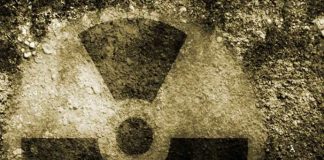 Smaller detection device effective for nuclear treaty verification Smaller detection device effective for nuclear treaty verification