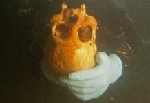 Study: 9,990-year-old skull may rewrite ancient American history Study: 9,990-year-old skull may rewrite ancient American history