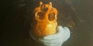 Study: 9,990-year-old skull may rewrite ancient American history Study: 9,990-year-old skull may rewrite ancient American history