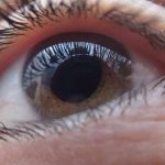 Study breakthrough for leading cause of blindness — Tdnews Study breakthrough for leading cause of blindness