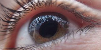 Study breakthrough for leading cause of blindness — Tdnews Study breakthrough for leading cause of blindness