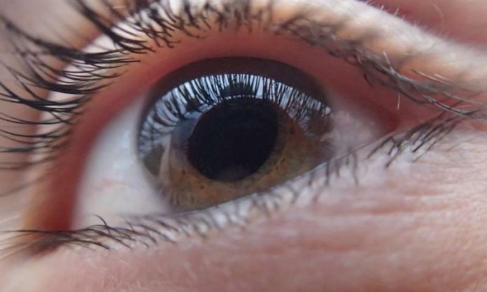 Study breakthrough for leading cause of blindness