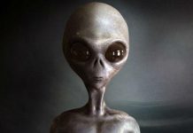 The Very Large Array will search for evidence of extraterrestrial life (Reports) The Very Large Array will search for evidence of extraterrestrial life (Reports)