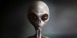 The Very Large Array will search for evidence of extraterrestrial life (Reports) The Very Large Array will search for evidence of extraterrestrial life (Reports)