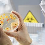 Transgenic fruit flies help scientists trace the cascade of symptoms caused by toxic infection — Tdnews Transgenic fruit flies help scientists trace the cascade of symptoms caused by toxic infection -- Tdnews