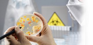 Transgenic fruit flies help scientists trace the cascade of symptoms caused by toxic infection — Tdnews Transgenic fruit flies help scientists trace the cascade of symptoms caused by toxic infection -- Tdnews