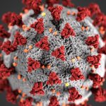 Coronavirus: How do you slow a pandemic? Coronavirus: How do you slow a pandemic?