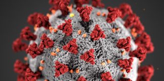 Coronavirus: How do you slow a pandemic? Coronavirus: How do you slow a pandemic?
