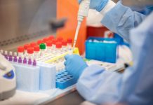 Coronavirus testing kits will be developed (Study) Coronavirus testing kits will be developed (Study)