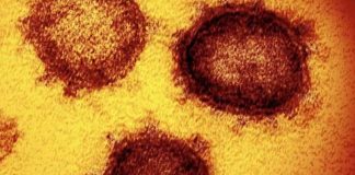 MU employees diagnosed with COVID-19 MU employees diagnosed with COVID-19