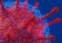 New mathematical model can more effectively track epidemics (Study) New mathematical model can more effectively track epidemics (Study)
