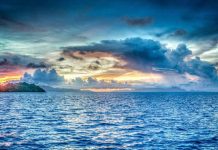 Report: As the ocean warms, marine species relocate toward the poles Report: As the ocean warms, marine species relocate toward the poles