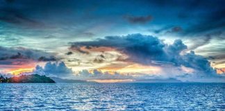 Report: As the ocean warms, marine species relocate toward the poles Report: As the ocean warms, marine species relocate toward the poles