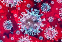 Report: COVID-19 coronavirus epidemic has a natural origin Report: COVID-19 coronavirus epidemic has a natural origin