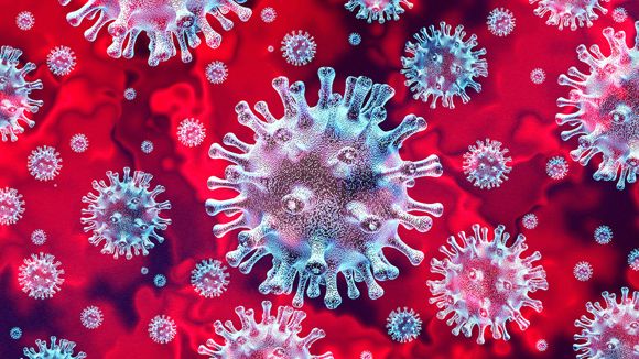 Report: COVID-19 coronavirus epidemic has a natural origin