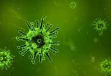 Report: Coronavirus spreads quickly and sometimes before people have symptoms Report: Coronavirus spreads quickly and sometimes before people have symptoms