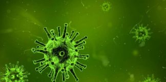 Report: Coronavirus spreads quickly and sometimes before people have symptoms Report: Coronavirus spreads quickly and sometimes before people have symptoms