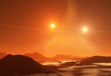 Report: The strange orbits of ‘Tatooine’ planetary disks Report: The strange orbits of 'Tatooine' planetary disks