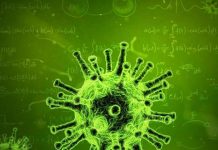 Report: To predict an epidemic, evolution can’t be ignored Report: To predict an epidemic, evolution can't be ignored